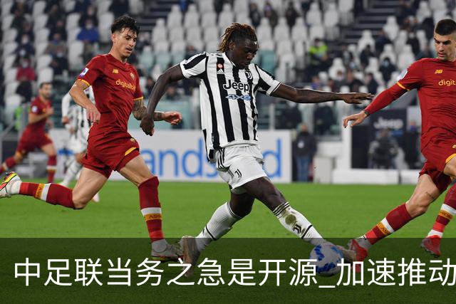 中足联当务之急是开源 加速推动中国足球职业化