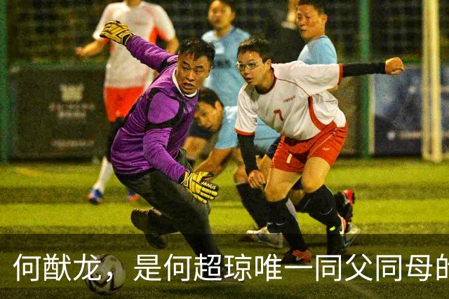 何猷龙，是何超琼唯一同父同母的亲弟弟