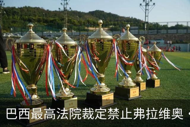 巴西最高法院裁定禁止弗拉维奥·博索纳罗离境，责令其上交护照