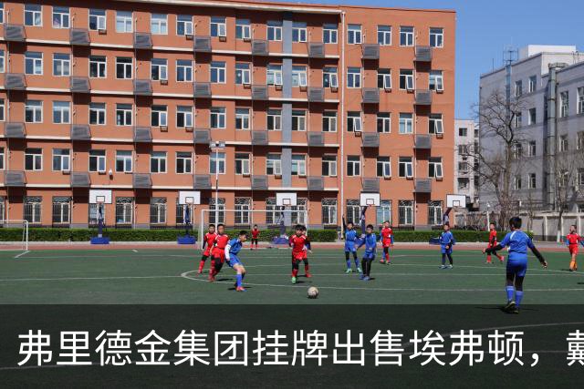 弗里德金集团挂牌出售埃弗顿，戴尔家族入局竞购