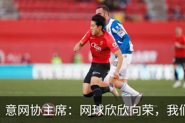 意网协主席：网球欣欣向荣，我们有机会超越意大利的世界杯冠军数