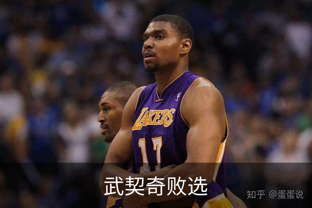 武契奇败选