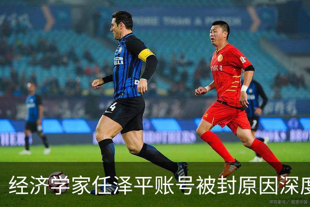 经济学家任泽平账号被封原因深度分析