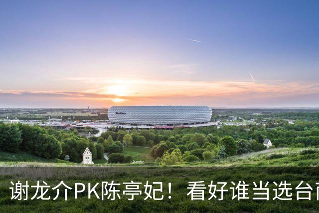 谢龙介PK陈亭妃！看好谁当选台南市长？网络投票结果超意外