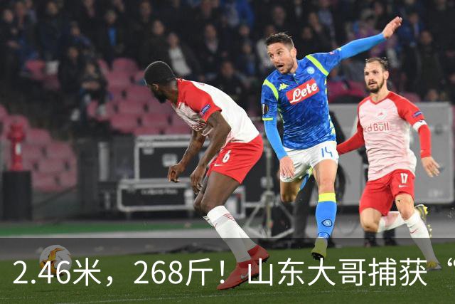 2.46米，268斤！山东大哥捕获“鲅鱼王”：常见鲅鱼仅几斤到十几斤，已被水产公司收购，将做成鲅鱼水饺
