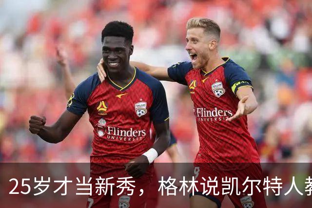 25岁才当新秀，格林说凯尔特人教会他适应联盟